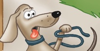 Hund